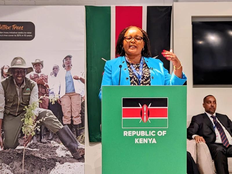Kirinyaga Governor Anne Waiguru.